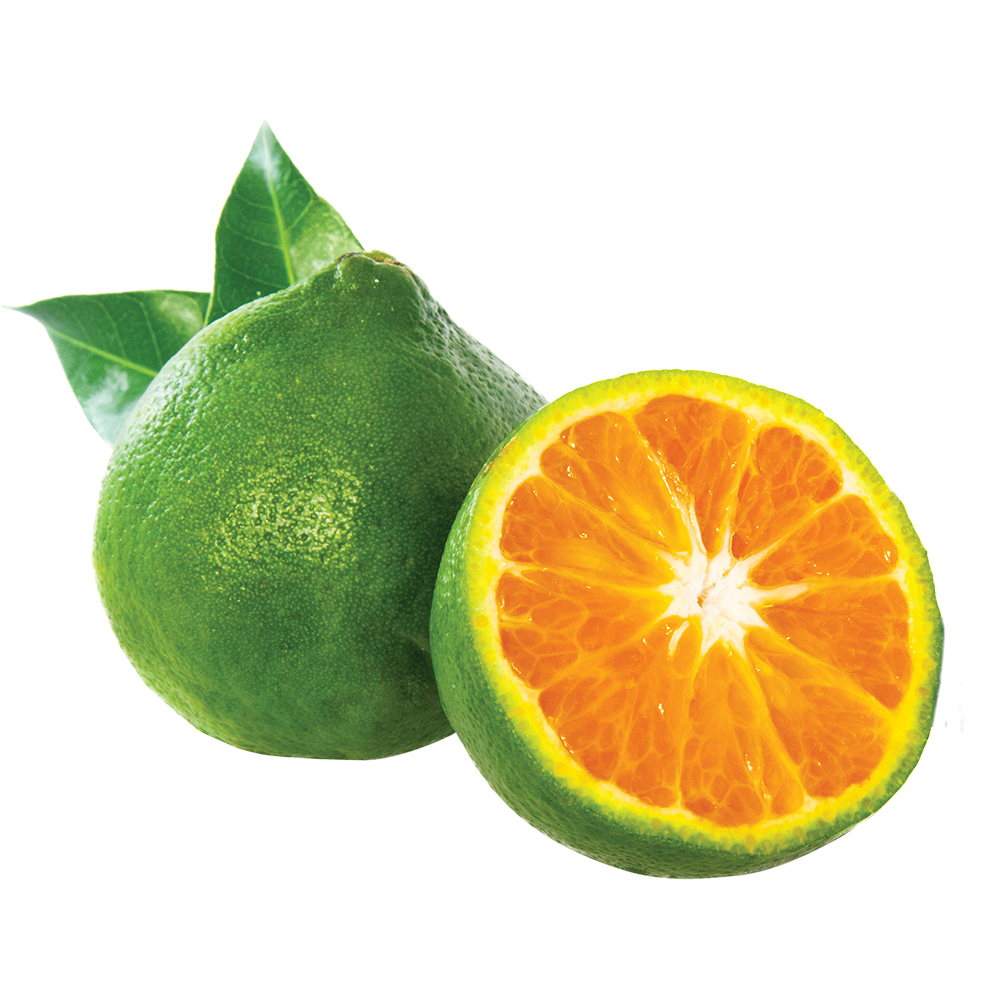 JAMANARAN-250g