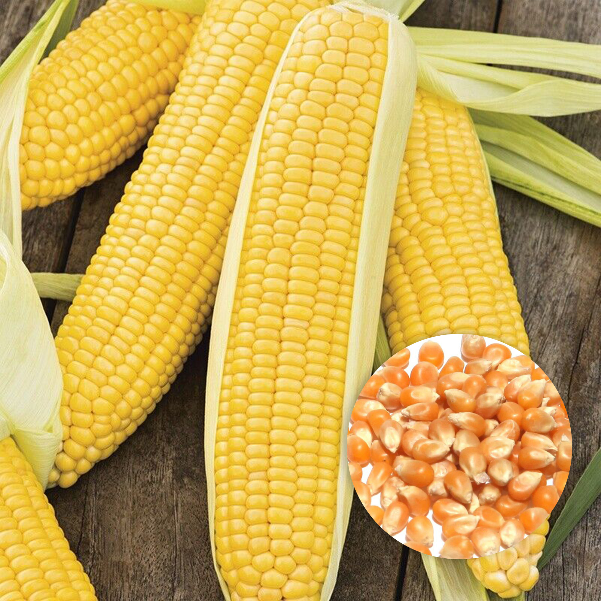 Corn - 250g