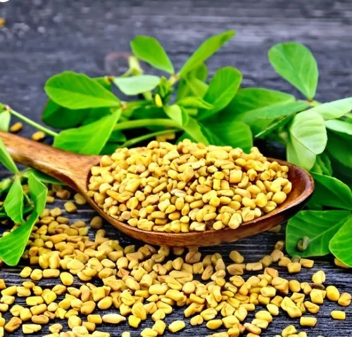CEYLON HOUSE FENUGREEK SEEDS -100G